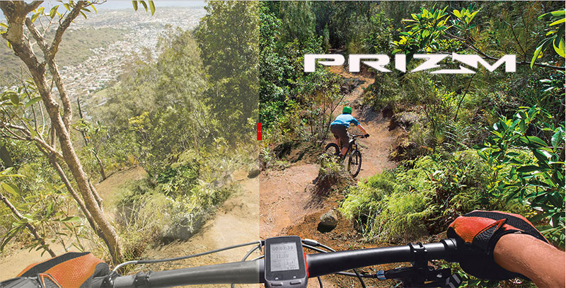 difference between prizm and polarized oakley lenses